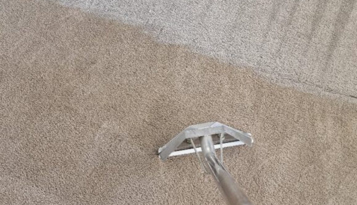 Professional carpet cleaning in Ely showing before and after results with cleaning wand in use