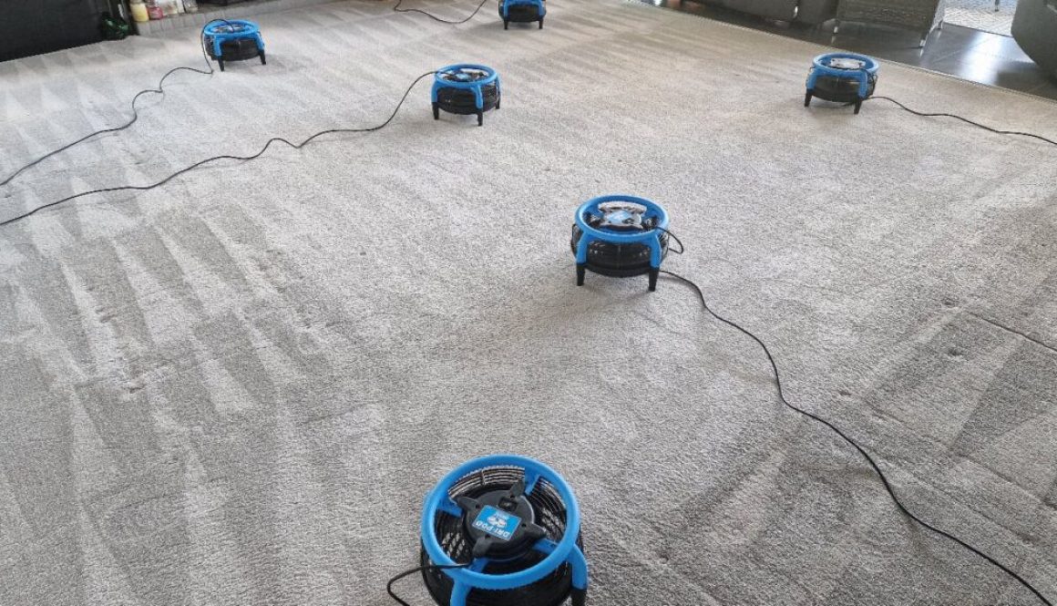 Cleaned carpet with Dri-Pod drying equipment after professional carpet cleaning by Ely Cleaning Services
