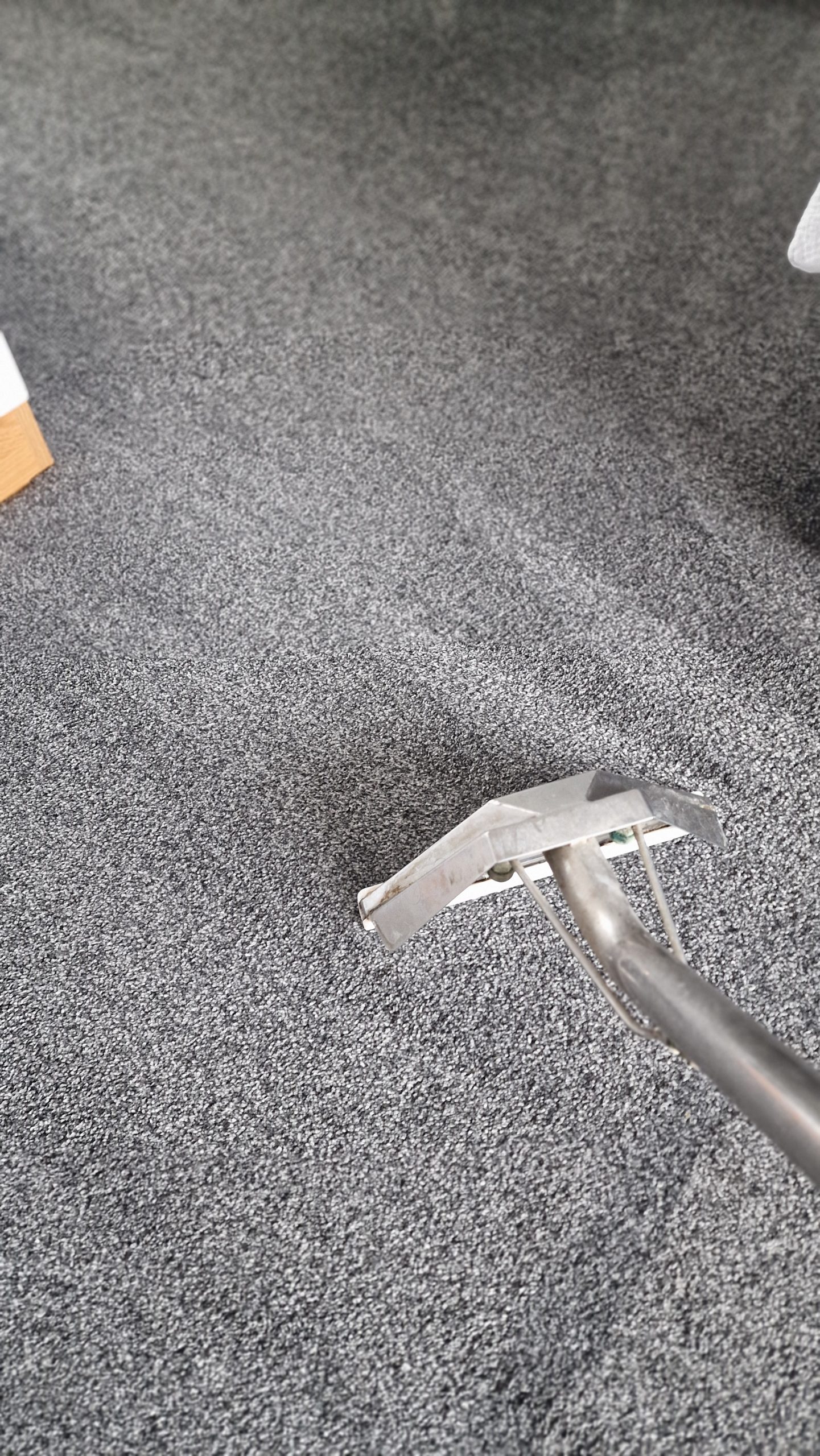 Carpet cleaning service in Ely using hot water extraction