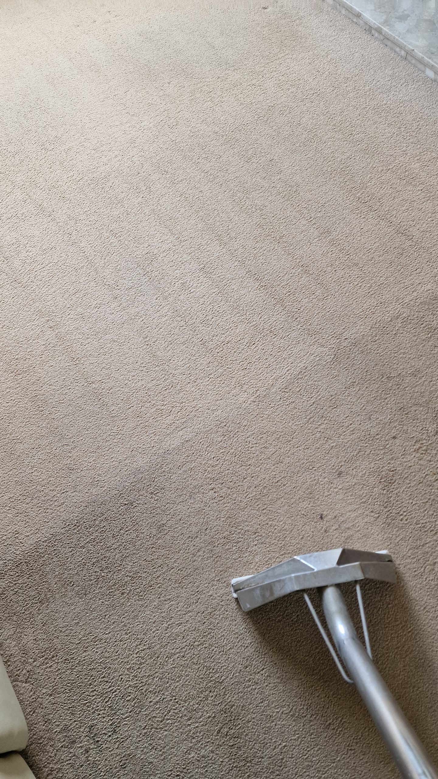 Carpet cleaning in Ely
