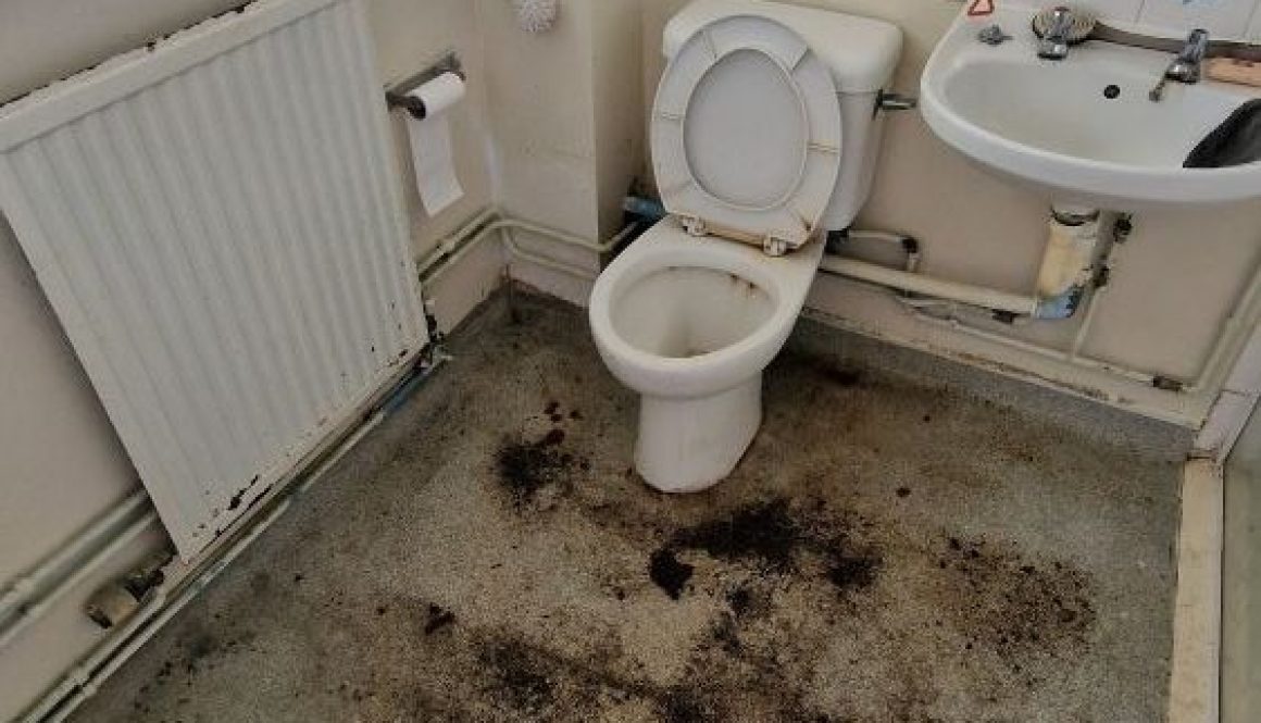 Dirty rental property bathroom requiring professional end of tenancy cleaning service in Ely