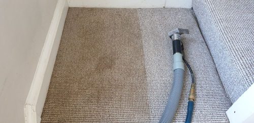 Eco-friendly carpet cleaning in Burwell – our professional equipment deep cleaning a high-traffic hallway carpet.