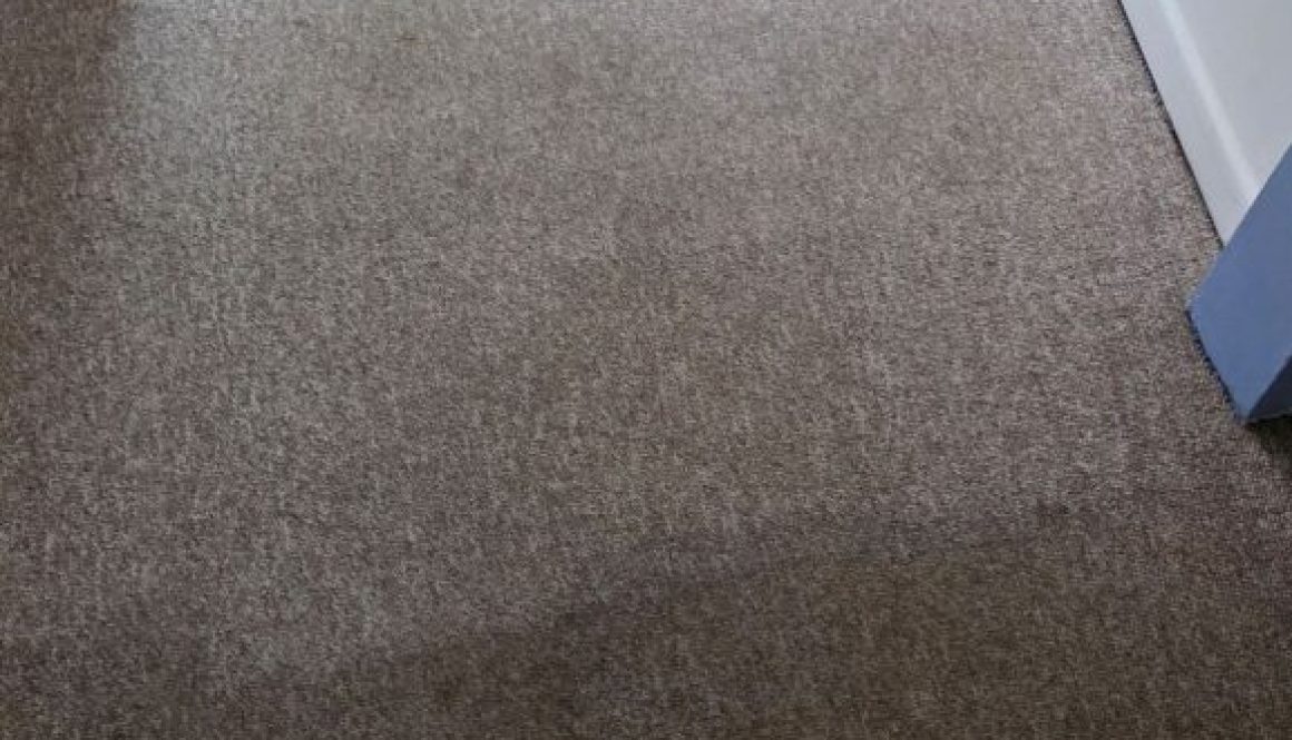 Cleaned carpet in a Cambridge living room-before and after