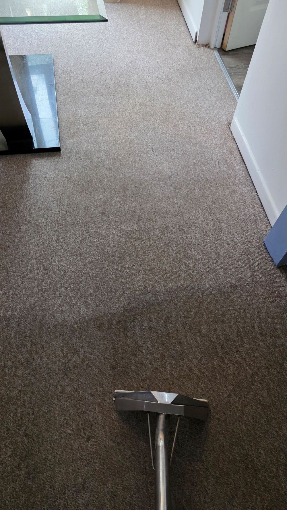 Cleaned carpet in a Cambridge living room-before and after 