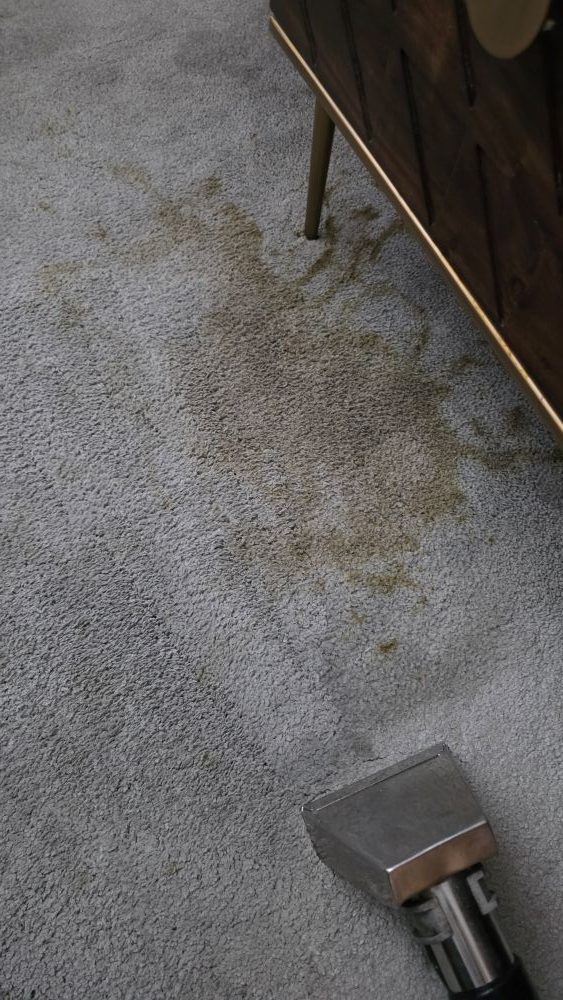 Carpet stain removal in Newmarket – professional carpet cleaning removing a tough stain from fitted carpet