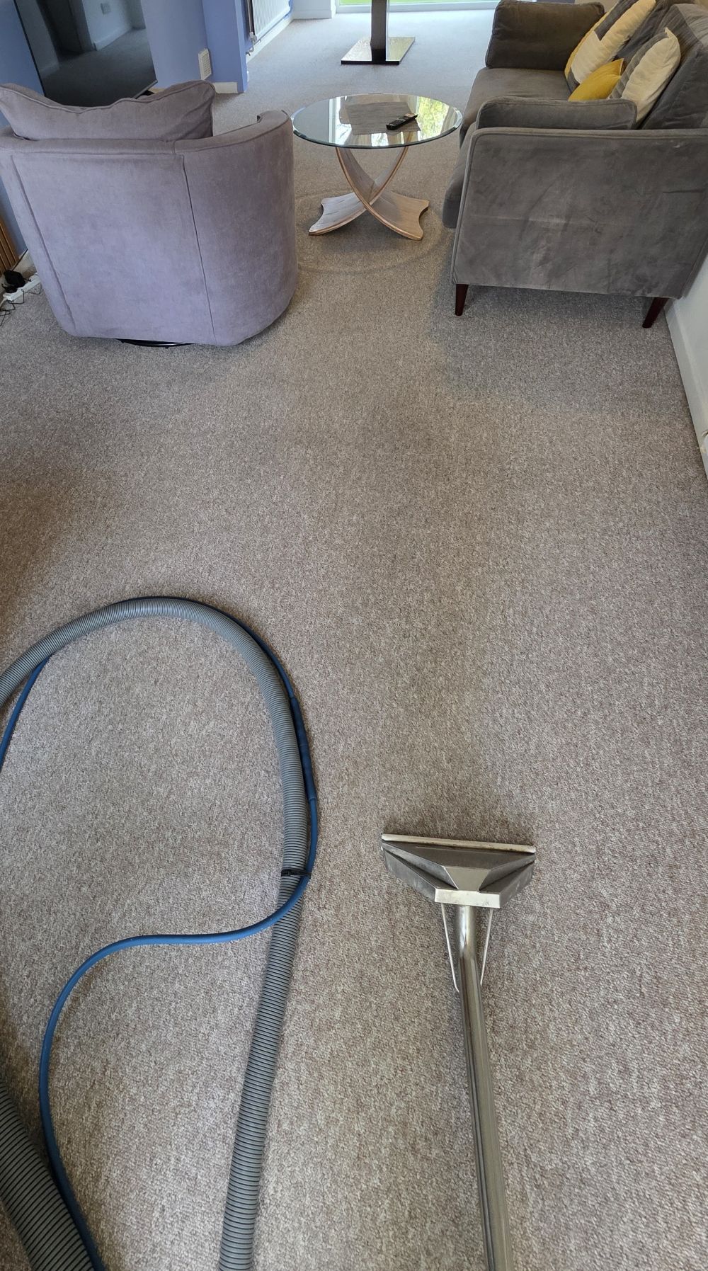 Stain removal on a Cambridge carpet by professional cleaner 