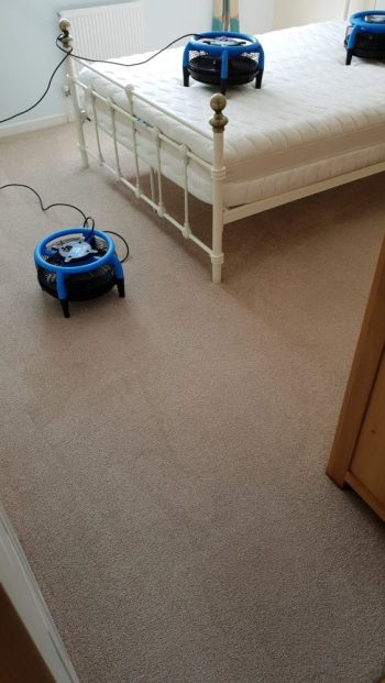 Professional carpet and mattress cleaning in Brandon with Dri-Pod air movers for rapid drying.