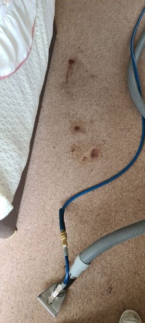 Professional carpet cleaning in Cottenham – restored living room carpet after deep steam extraction.
