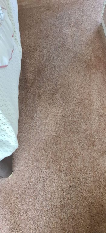 Clean and fresh carpet in a Downham Market home after professional deep steam cleaning.
