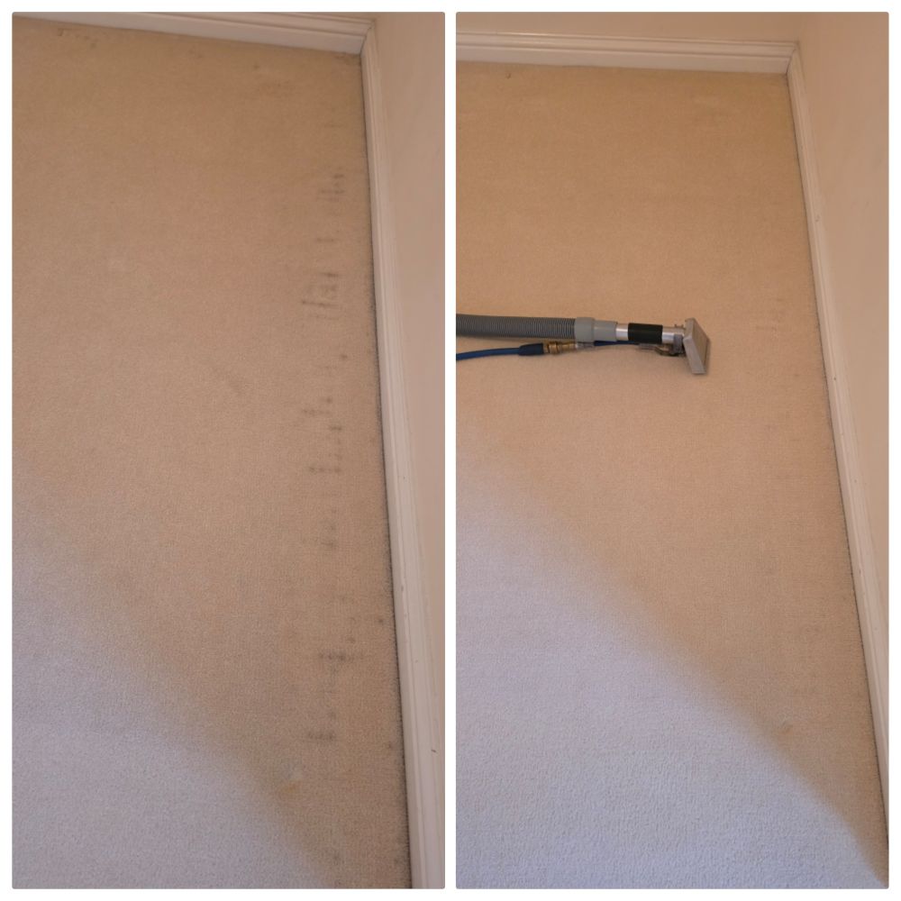 Professional carpet cleaning process in Ely showing the reduction of black filtration soiling lines using a high-pressure extraction tool.
