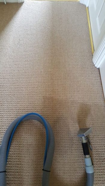 Professional carpet cleaning in Mildenhall using high-pressure steam extraction for a residential landing.
