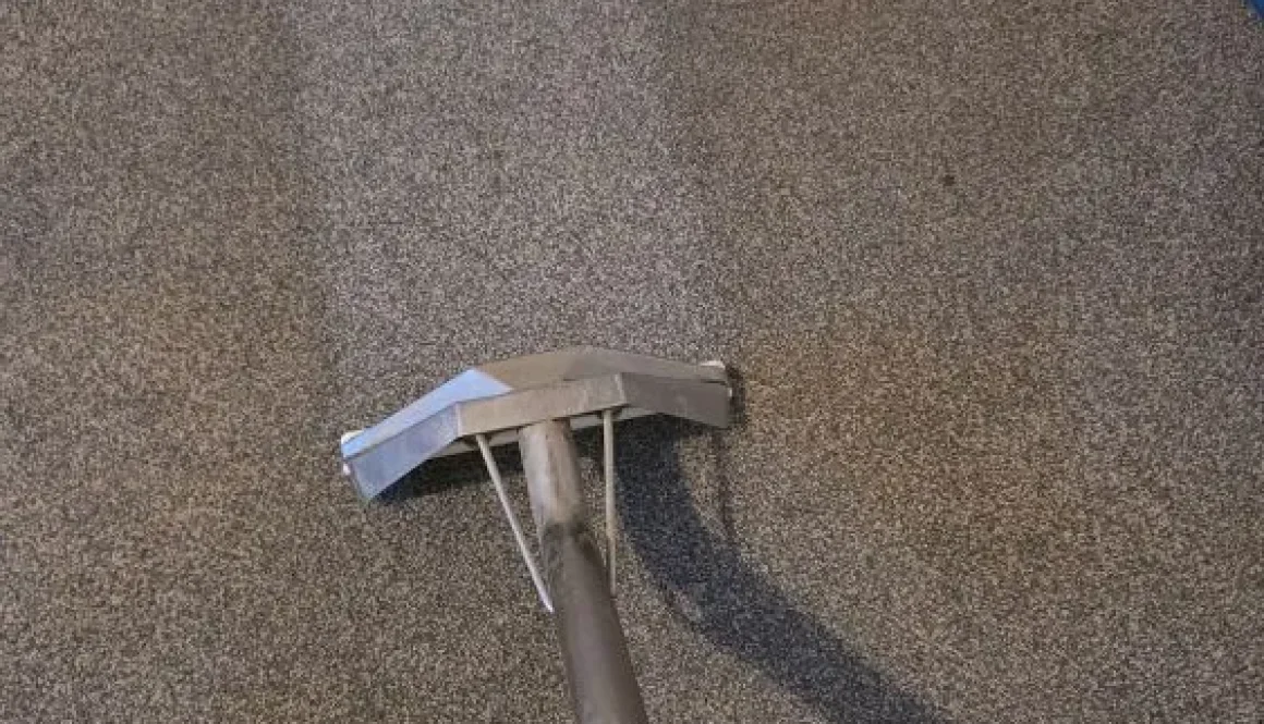 Professional carpet cleaning in a bedroom in Ely, showing fresh and spotless results