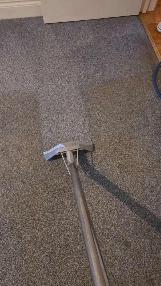 Professional carpet cleaning in a bedroom in Ely, showing fresh and spotless results