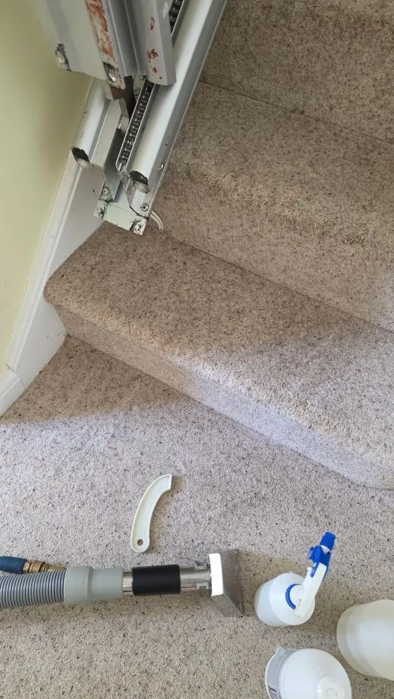 Clean staircase carpet in an Ely home with all blood stains fully removed after professional deep extraction.