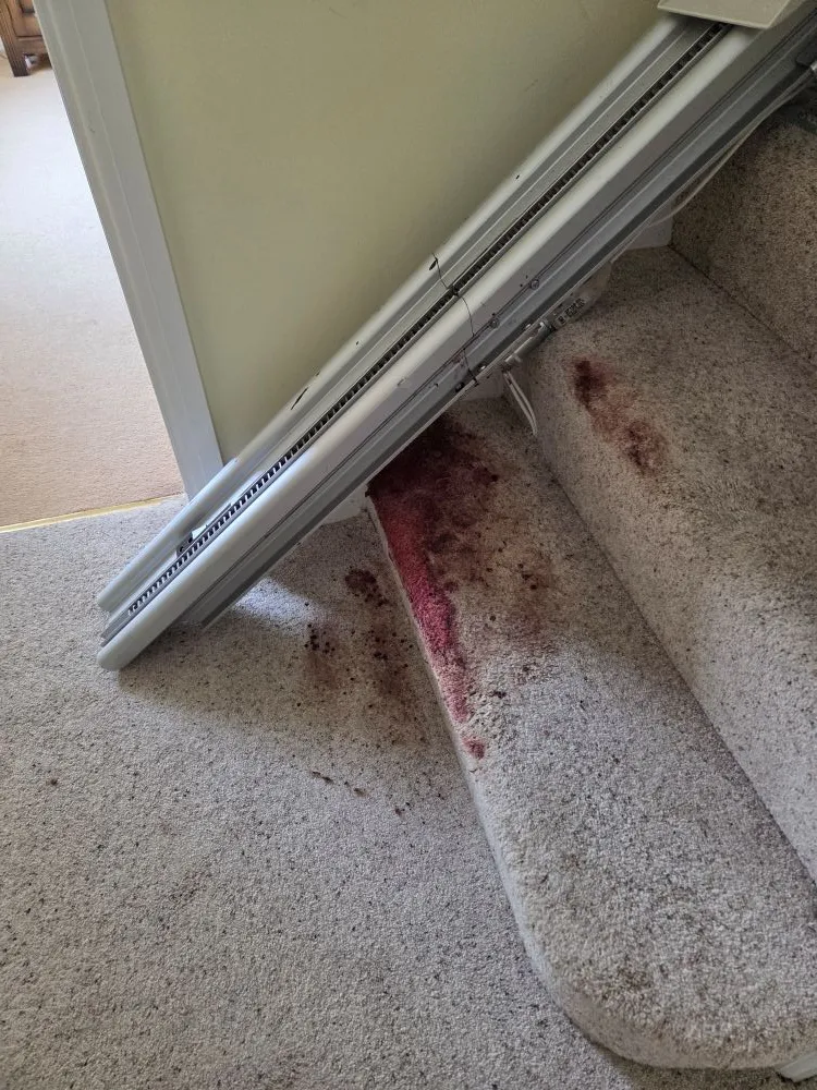 Stained staircase carpet in an Ely home before professional blood removal and deep extraction cleaning.