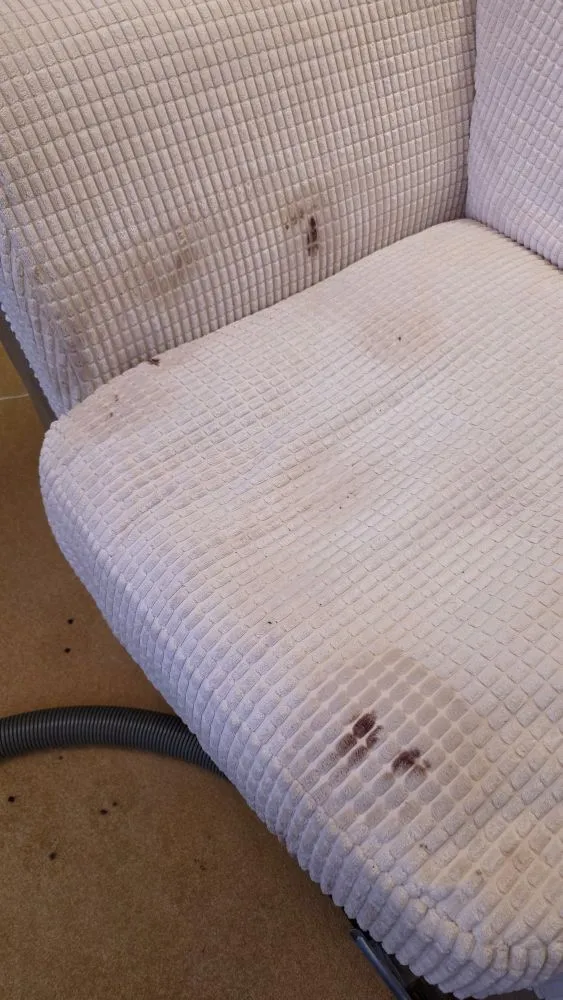 Upholstered armchair in an Ely home with blood stains before professional deep extraction cleaning.