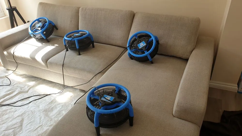 corner sofa after upholstery cleaning in Ely with air movers drying