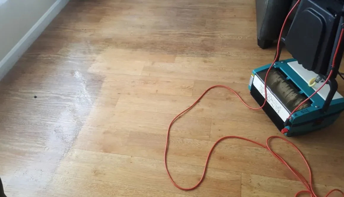 Hard floor cleaning Ely – laminate floor restored with Truvox Multiwash, clear cleaning results visible