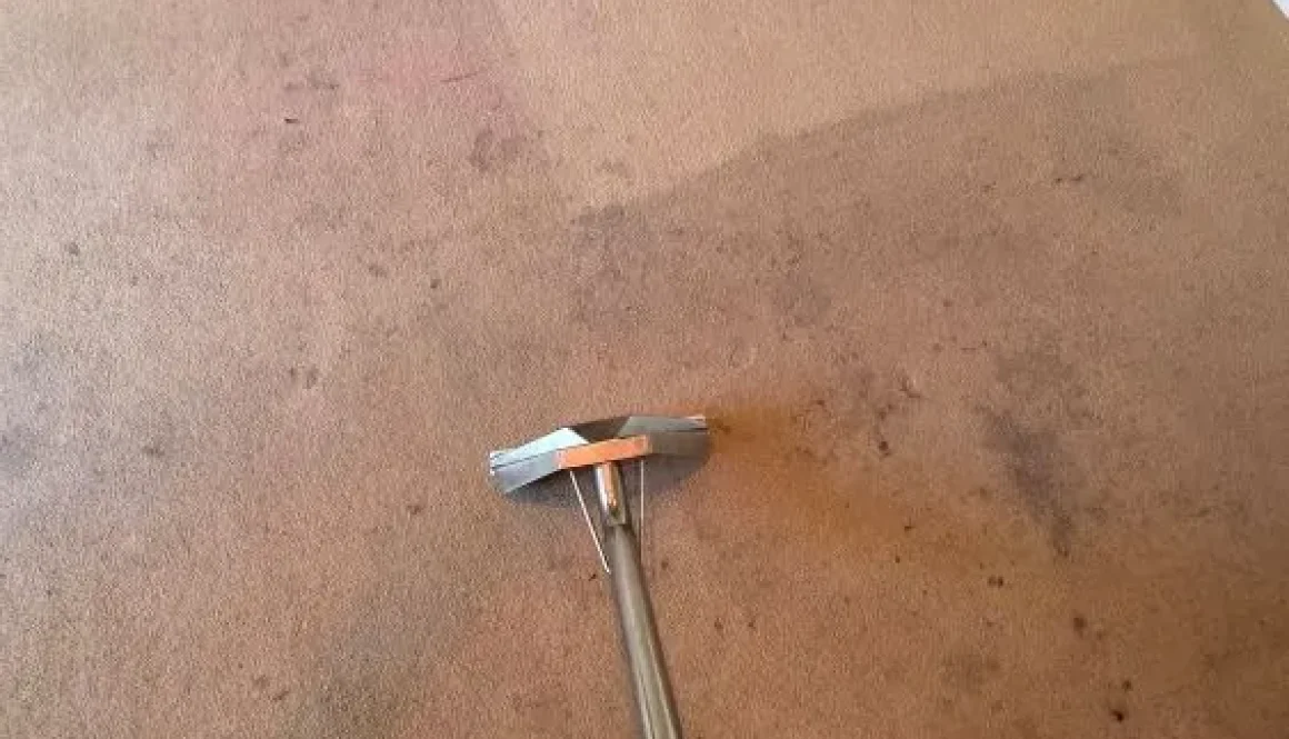 Living room carpet in Ely before and after professional deep cleaning, showing significant stain removal and restored texture