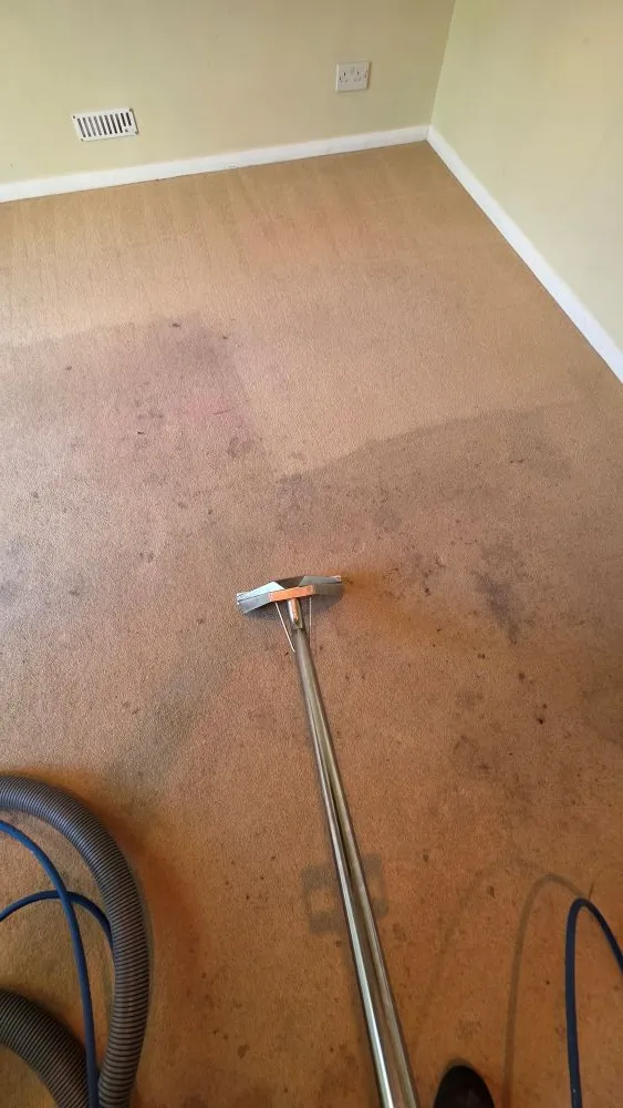 Living room carpet in Ely before and after professional deep cleaning, showing significant stain removal and restored texture