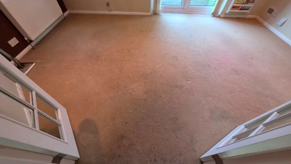 Stained living room carpet in an Ely home before professional deep extraction.