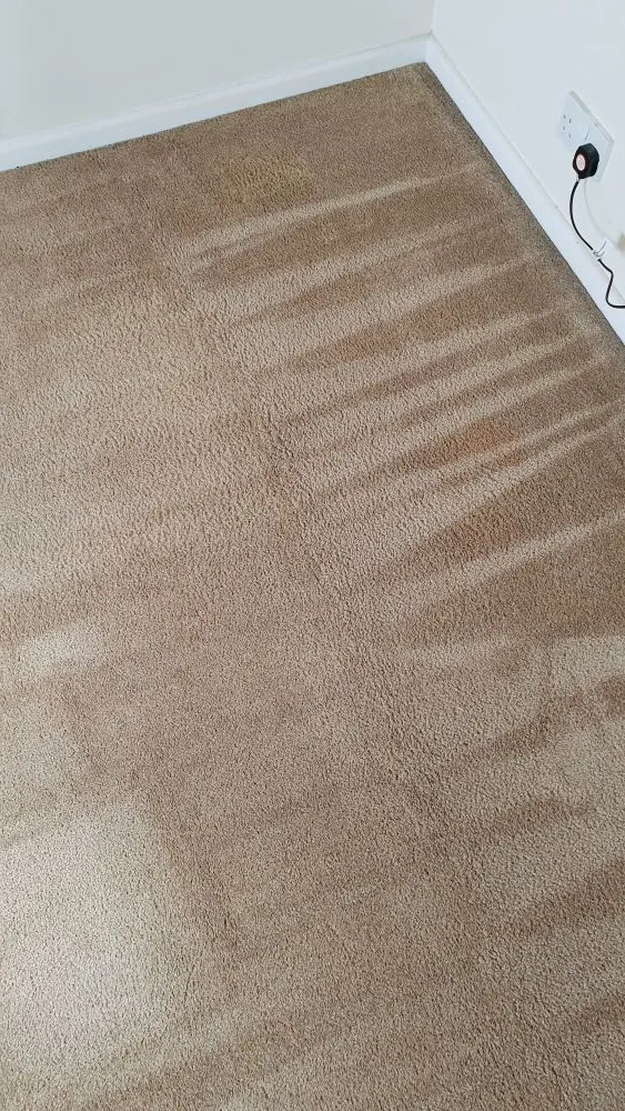 Accident mess gone. A local Ely bedroom carpet restored to a hygienic, fresh condition following expert treatment.