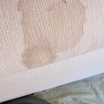 Red wine stain on a fabric sofa in Newmarket before professional removal.