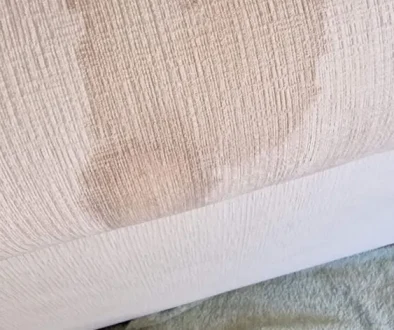 3-seater fabric sofa cleaned in Ely – pet hair and red wine stains