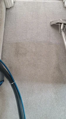 Half-cleaned carpet in Mildenhall RAF quarters showing visible cleaning results.